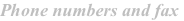 shapeimage_8_link_1
